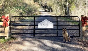 Entry gate to All4One Farms wedding venue with german Shepherd dog seated outside it.