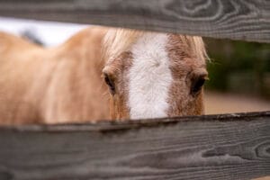 Jacksonville wedding venue