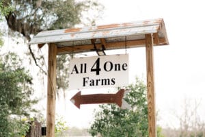 Free wedding website