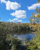 Black Creek Ravines